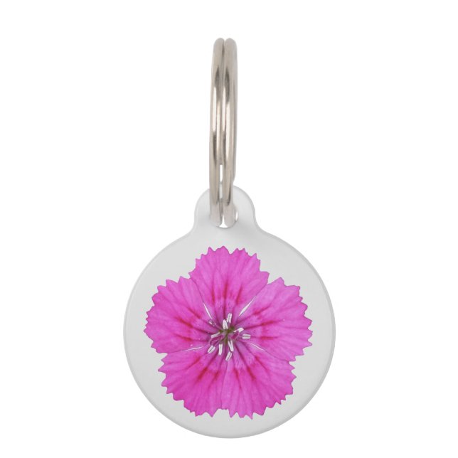 Pink Dianthus Pet Tag (Front)