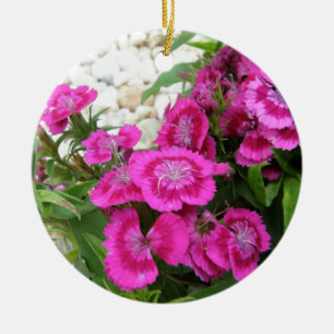 Pink Dianthus/Sweet William Ceramic Tree Decoration
