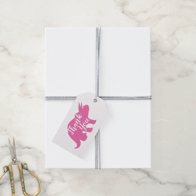 Pink Dinosaur Baby Shower Gift Tags (With Twine)