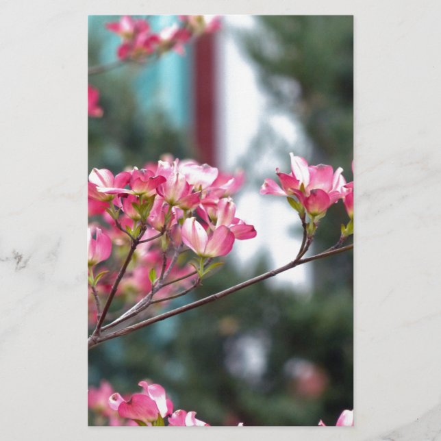 Pink Dogwood (Front)
