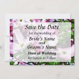 Pink Dogwood Blossoms Save the Date