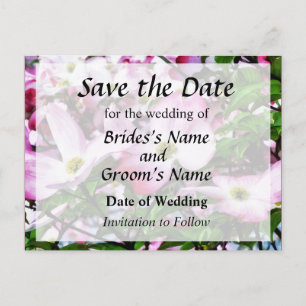 Pink Dogwood Blossoms Save the Date Announcement Postcard
