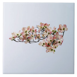 Pink Dogwood Branch Tile