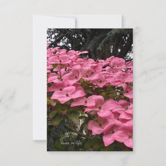 Pink Dogwood Card (Front)