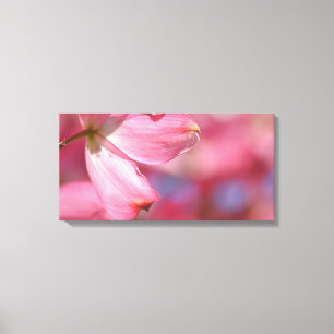 Pink Dogwood Flower Canvas Print