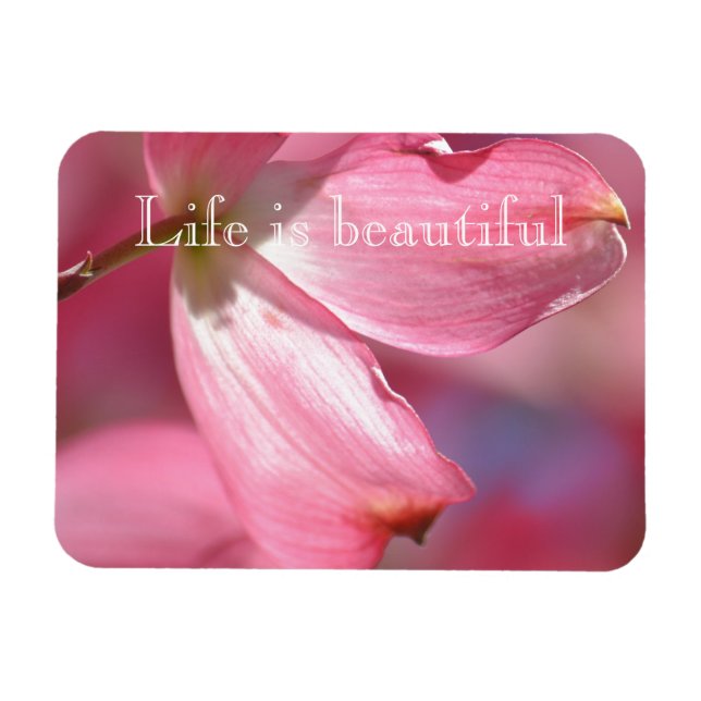 Pink Dogwood Flowers Magnet (Horizontal)