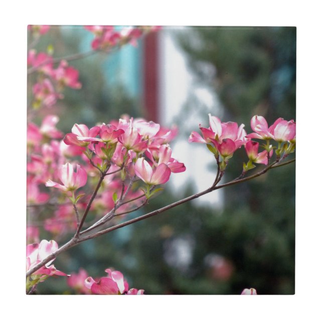 Pink Dogwood Tile (Front)