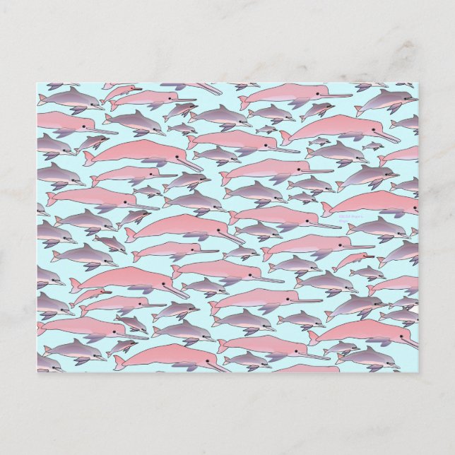 Pink Dolphin Pattern Postcard (Front)