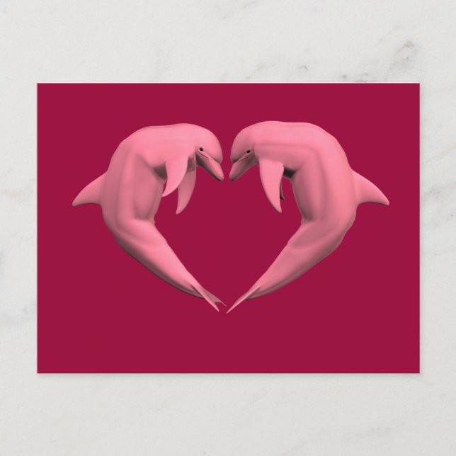 Pink Dolphins Postcard (Front)