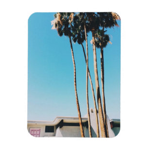 Pink Door Of Palm Springs Magnet
