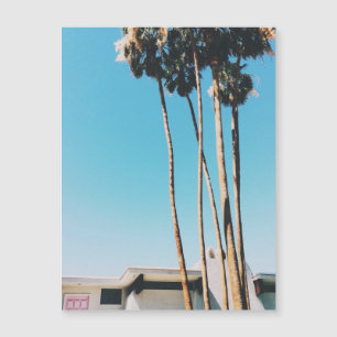 Pink Door Of Palm Springs Magnet