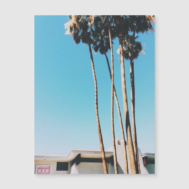 Pink Door Of Palm Springs  Magnet (Front)