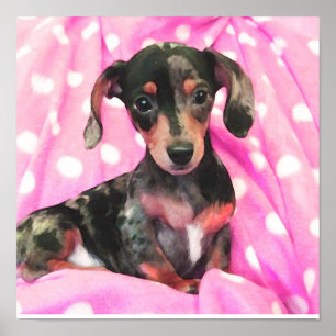 pink doxie poster
