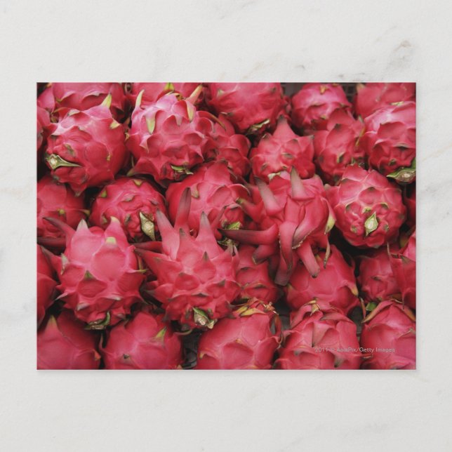 Pink Dragonfruit stacked together Postcard (Front)