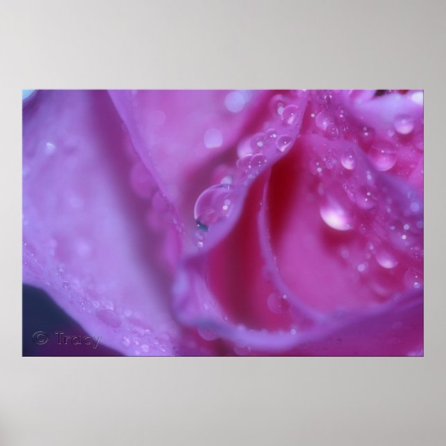 Pink Dream Poster (Front)