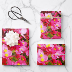 Pink Droplets Of Spring, Begonia,  Wrapping Paper Sheet