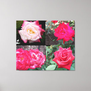 PINK ELEGANT ROSE'S CANVAS PRINT