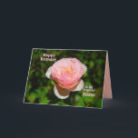 Pink English Rose Sister Happy Birthday Card<br><div class="desc">The text of the card,  which you can change and personalise. "A sister is like a rose ~ Beautiful,  but watch out for the thorns! Just kidding about the thorns! Much love on your birthday!" This is a template,  making it easy to customise.</div>
