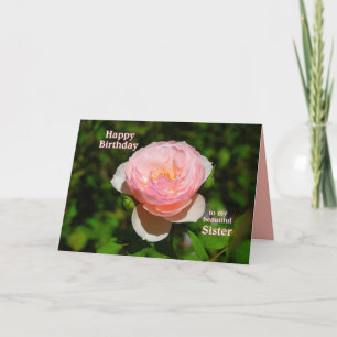 Pink English Rose Sister Happy Birthday Card
