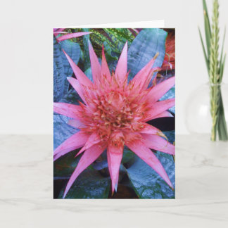 Pink Exotic Blossom Plant Greeting Card