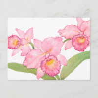 Pink Exotic Watercolor Flowers