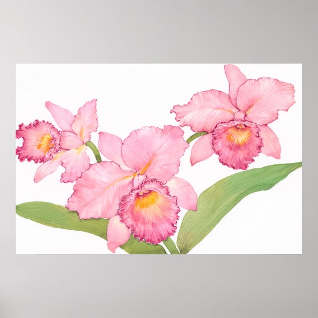 Pink Exotic Watercolor Flowers Poster (Front)
