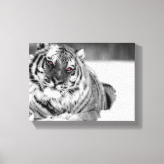 Pink Eyed Tiger Canvas Print