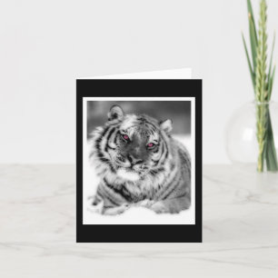 Pink Eyed Tiger Card
