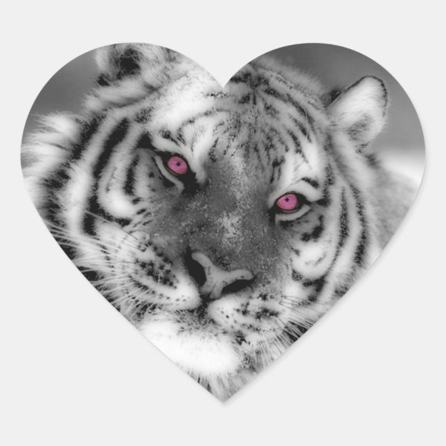 Pink Eyed Tiger Heart Sticker (Front)