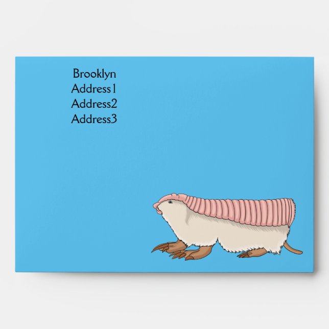 Pink fairy armadillo cartoon illustration envelope (Front)