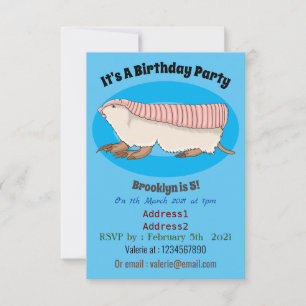 Pink fairy armadillo cartoon illustration invitation