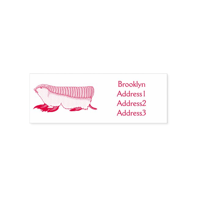 Pink fairy armadillo cartoon illustration self-inking stamp (Design)