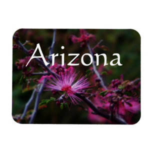pink fairy duster magnet, Arizona Magnet