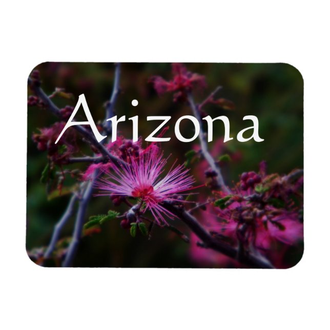 pink fairy duster magnet, Arizona Magnet (Horizontal)