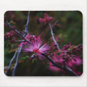 Pink fairy duster mouse pad