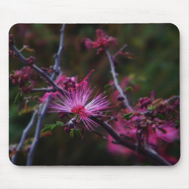 Pink fairy duster mouse pad (Front)