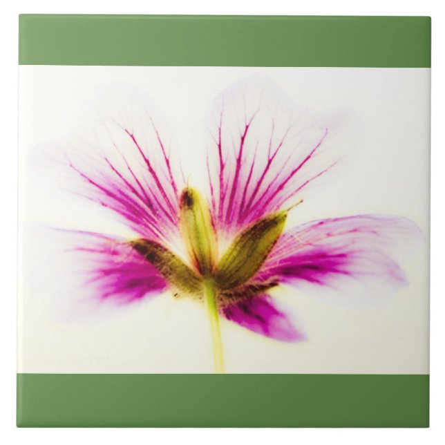 Pink Feather Flower Tile (Front)