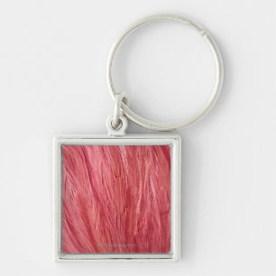 Pink Feathers Key Ring