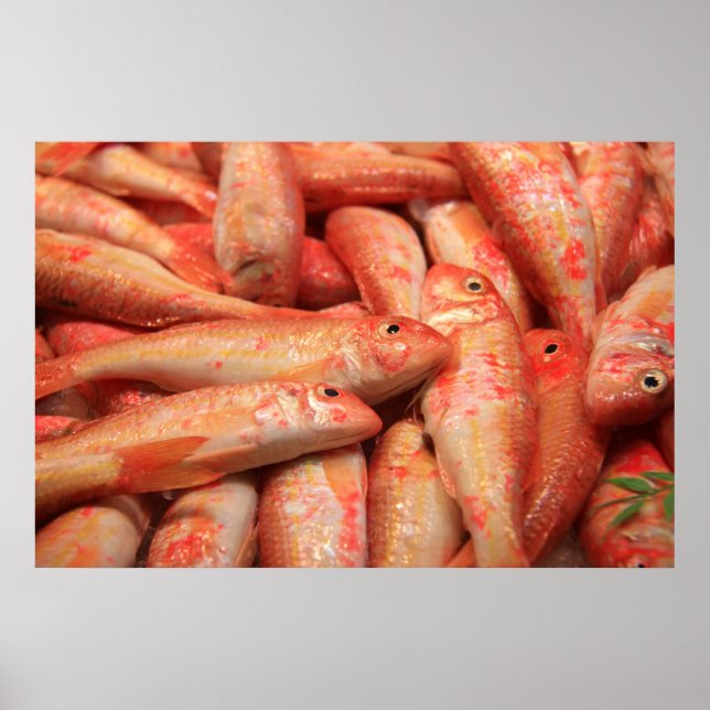 Pink Fish Poster/Print Poster (Front)