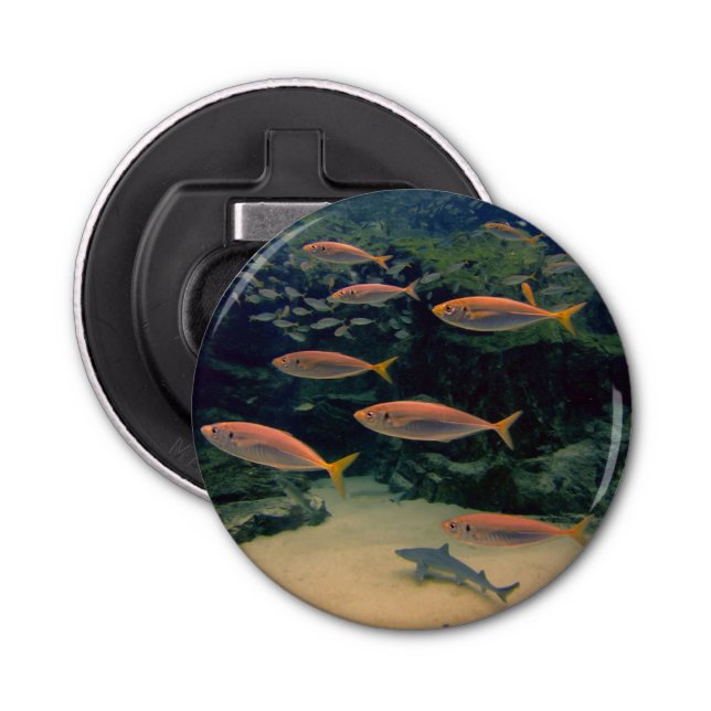 Pink Fish Shoal Bottle Opener (Front)