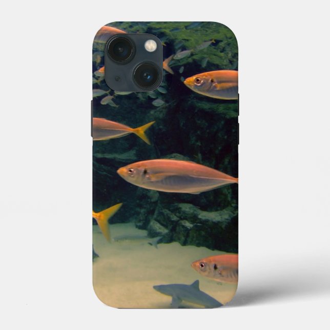 Pink Fish Shoal  Case-Mate iPhone Case (Back)