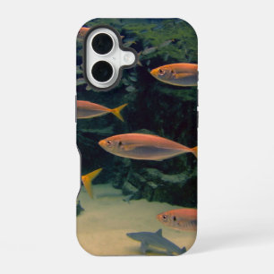 Pink Fish Shoal Underwater Photo iPhone 16 Case