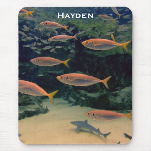 Pink Fish Shoal Underwater Photo Personalised Mouse Pad