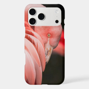 Pink Flamingo