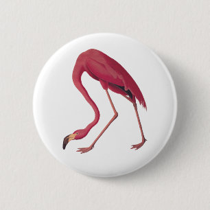 Pink Flamingo 6 Cm Round Badge
