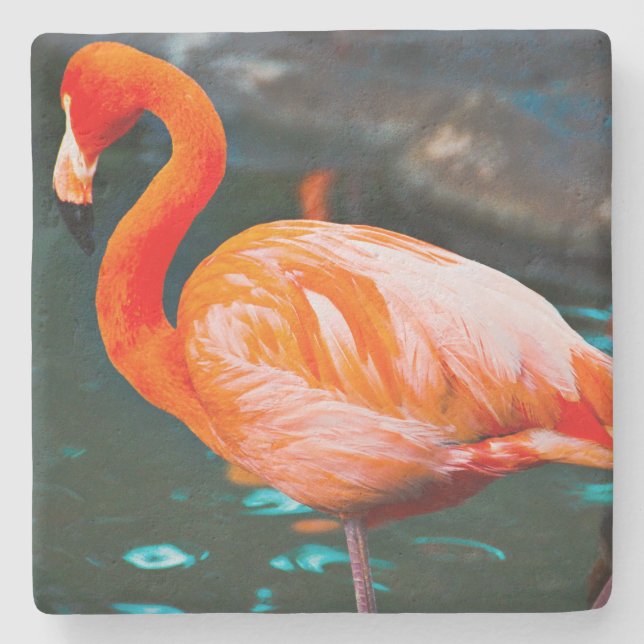 Pink Flamingo Bird Photo Beautiful Bold Modern Stone Coaster (Front)