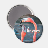 Pink Flamingo Birds Photo Besties Script Stylish