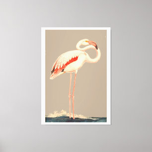 Pink Flamingo Canvas Print