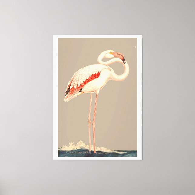 Pink Flamingo Canvas Print (Front)