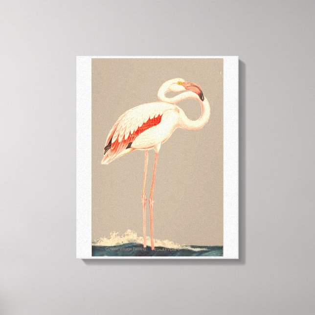 Pink Flamingo Canvas Print (Front)